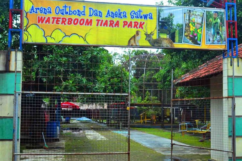 mini zoo 2 mini zoo 2